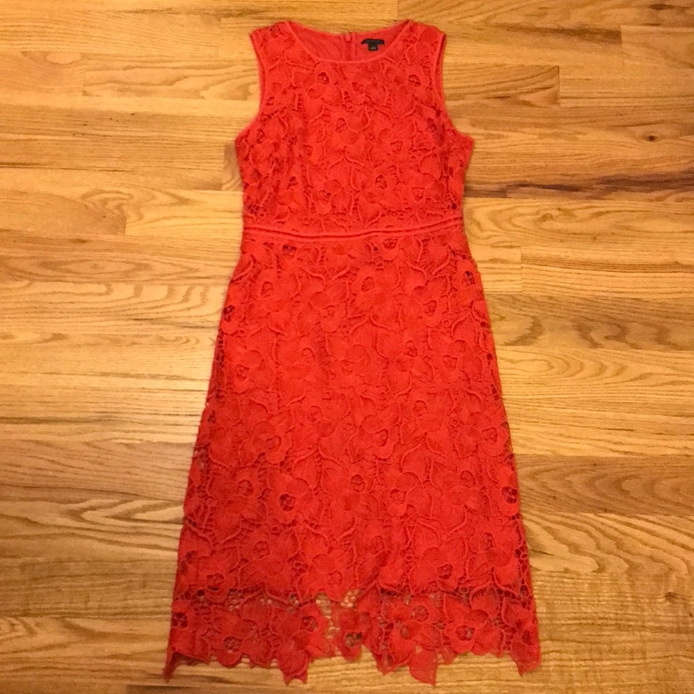 Ann Taylor lace cocktail dress
